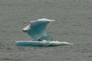 315-9415 Iceberg